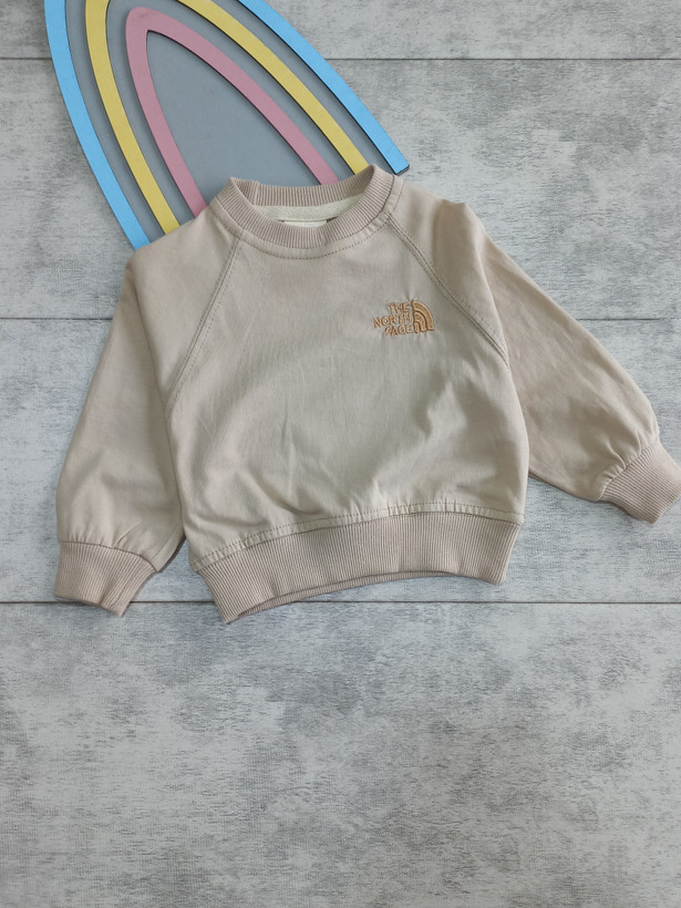 بلوز تک دورس پسرانه طرح گلدوزی the North face