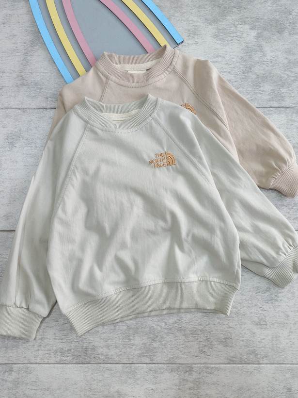 بلوز تک دورس پسرانه طرح گلدوزی the North face